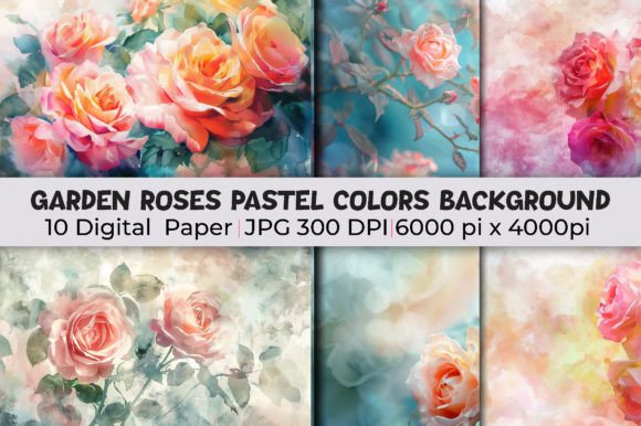 Mastering Garden Roses Pastel Colors Backgrounds